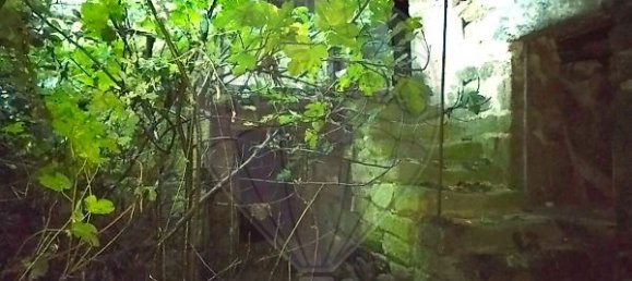 1 Schlafzimmer Haus in Valpacos, Portugal, Nr. 23228 7