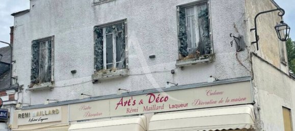 Gewerbliche Immobilie in Nancay, France 290m², Nr. 82427 9