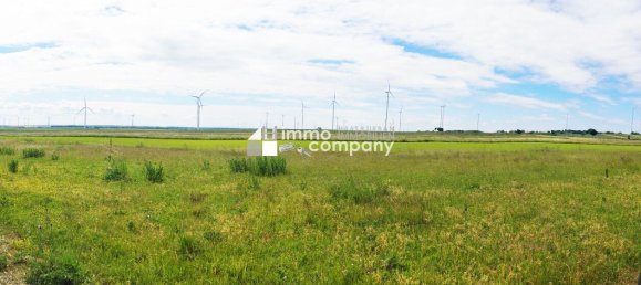  Land in Berg, Austria No. 136744 4