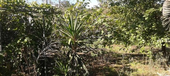  Hotel in Zakynthos, Greece No. 801 13