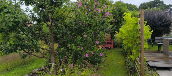 Grundstück in Jerichower Land, Germany, Nr. 328700 9