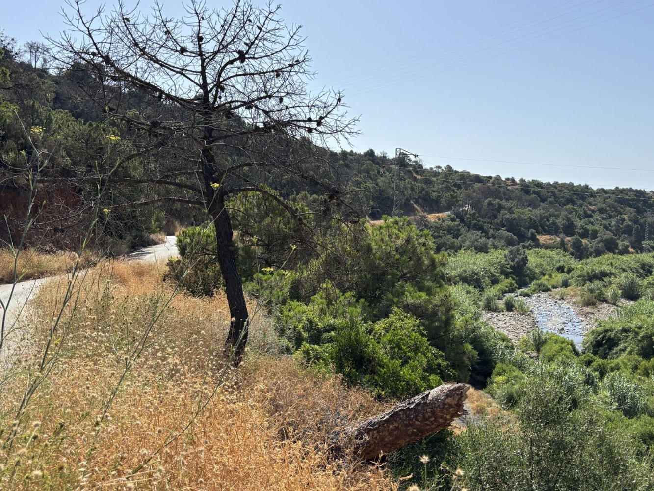 13391m² Land in Estepona, Spain No. 147749