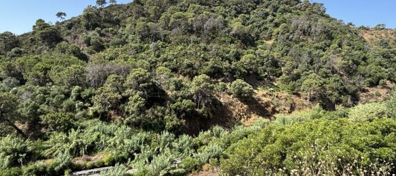 13391m² Land in Estepona, Spain No. 147749 10