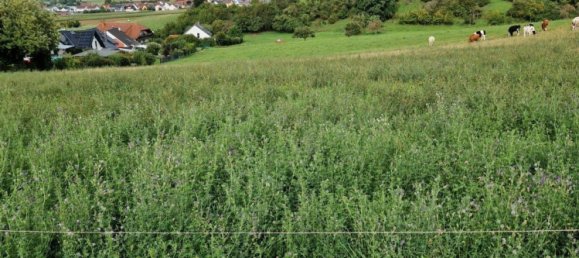 Villa de 3 dormitorios en Marburg-Biedenkopf, Germany No. 148684 19