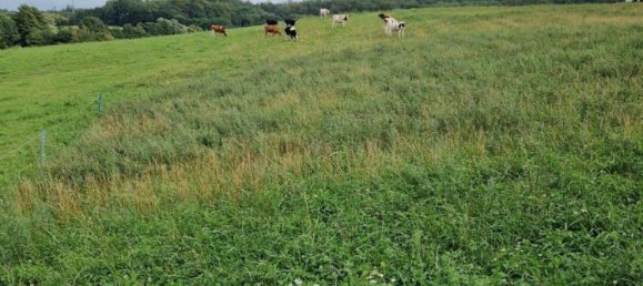 Villa de 3 dormitorios en Marburg-Biedenkopf, Germany No. 148684 17