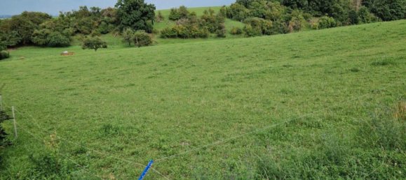 Villa de 3 dormitorios en Marburg-Biedenkopf, Germany No. 148684 16