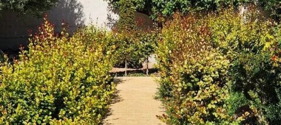 3 غرف نوم عقار تجاري في Koropi, Greece رقم 54205 6