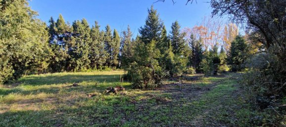 299m² Land in Maussane-les-Alpilles, France No. 102976 3