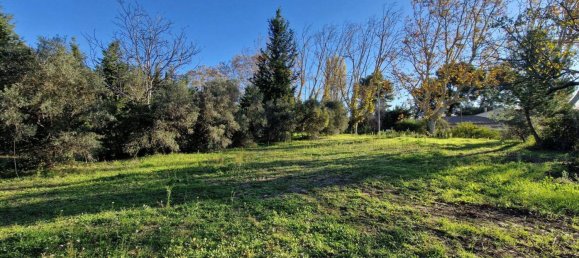 299m² Land in Maussane-les-Alpilles, France No. 102976 4