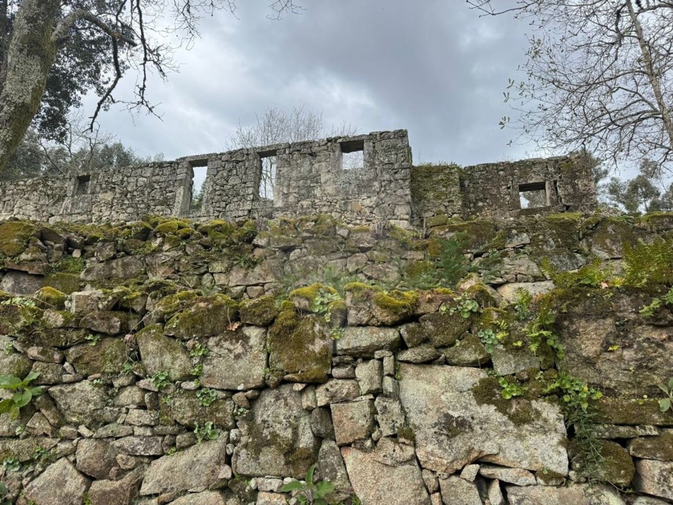  Land in Cavez, Portugal No. 264888