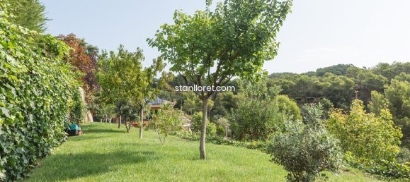 6 chambres Villa à Tossa de Mar, Spain No. 14823 16