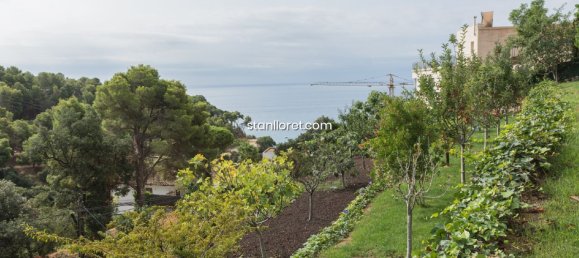 6 chambres Villa à Tossa de Mar, Spain No. 14823 17
