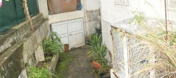 4 bedrooms House in Ribeira de Pena, Portugal No. 19578 30