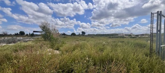 Grundstück in Catral, Spain, Nr. 189113 5