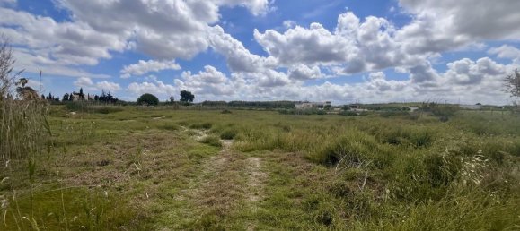 Grundstück in Catral, Spain, Nr. 189113 3