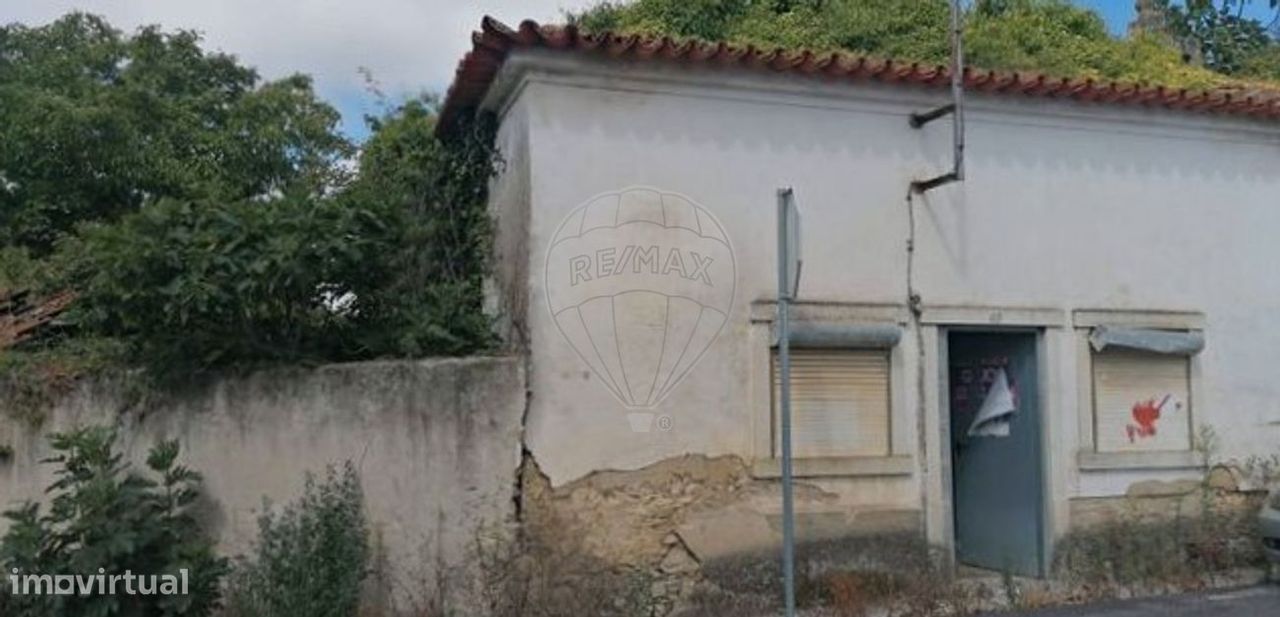 3 bedrooms House in Cadima, Portugal No. 17136