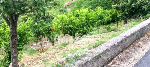 Studio in Gallodoro, Italy No. 302651 4