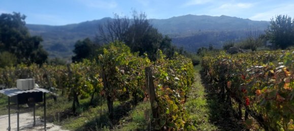 3 Schlafzimmer Grundstück in Barqueiros, Portugal, Nr. 140358 11