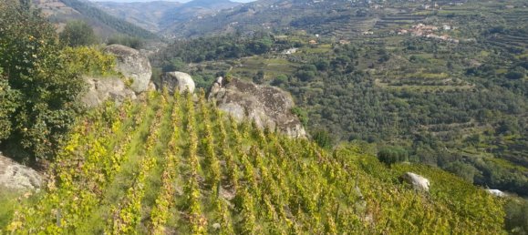 3 Schlafzimmer Grundstück in Barqueiros, Portugal, Nr. 140358 10