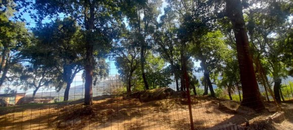 3 Schlafzimmer Grundstück in Barqueiros, Portugal, Nr. 140358 17