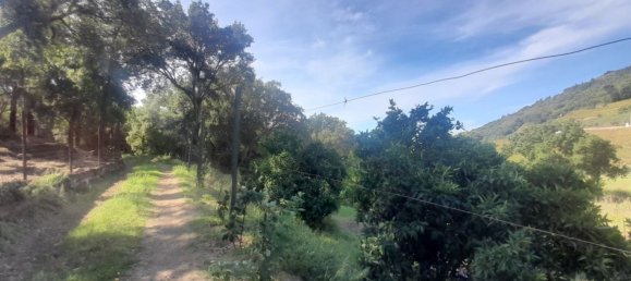 3 Schlafzimmer Grundstück in Barqueiros, Portugal, Nr. 140358 15