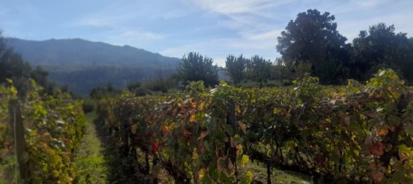 3 Schlafzimmer Grundstück in Barqueiros, Portugal, Nr. 140358 14