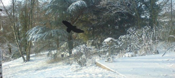 Bungalow de 3 dormitorios en Herford, Germany No. 219208 7