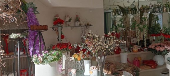 Propiedad comercial en Trieste, Italy 15 m² No. 378346 8