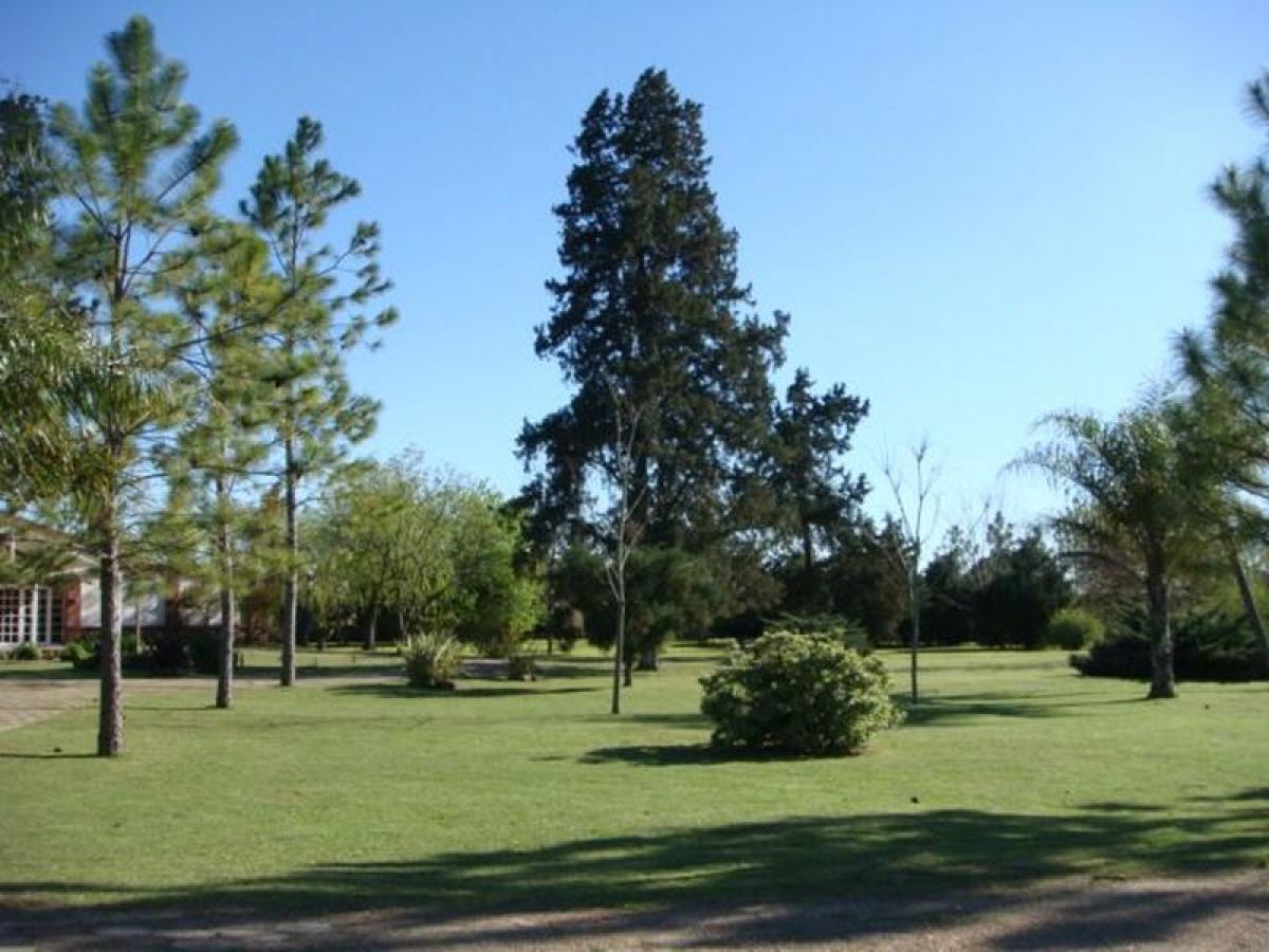  Land in Entre Rios, Argentina No. 34359