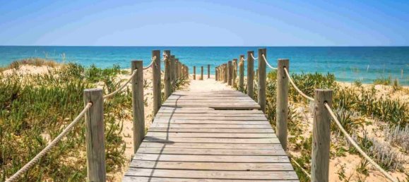 Grundstück in Montenegro, Portugal 9112m², Nr. 68723 5