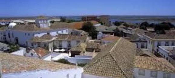 Grundstück in Montenegro, Portugal 9112m², Nr. 68723 4