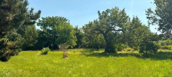 2535m² Land in Pottendorf, Austria No. 215532 3