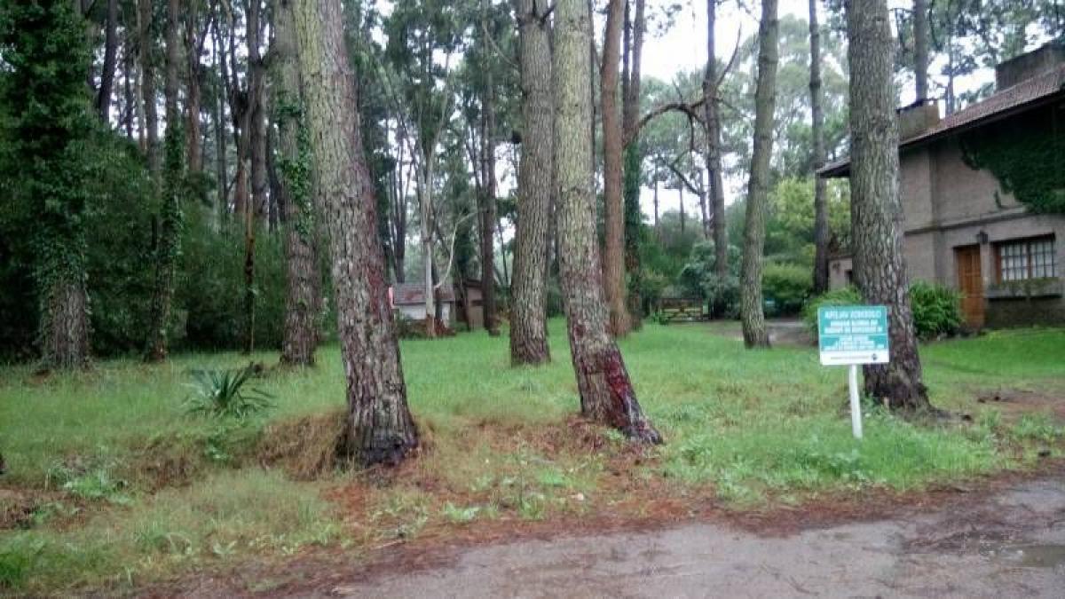  Land in Mar del Plata, Argentina No. 111536
