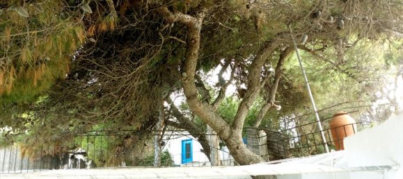 Hotel en Rafina, Greece 2000 m² No. 7742 10