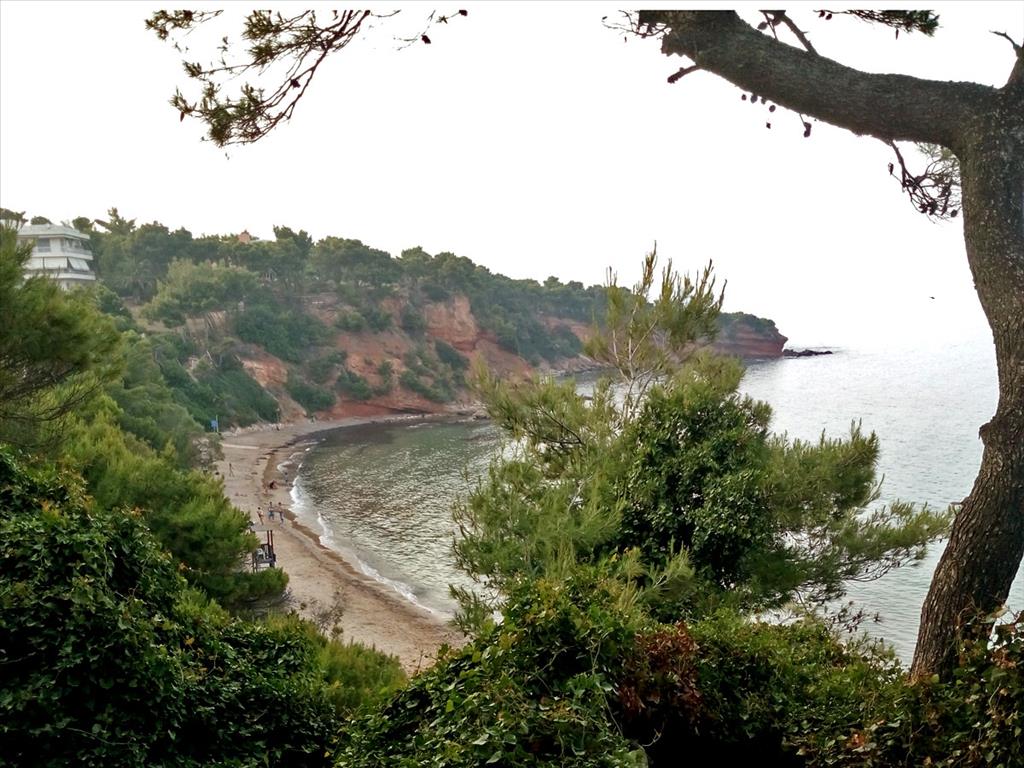 Hotel en Rafina, Greece 2000 m² No. 7742