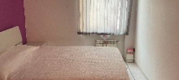 2-Zimmer Haus in Vigasio, Italy, Nr. 266490 9