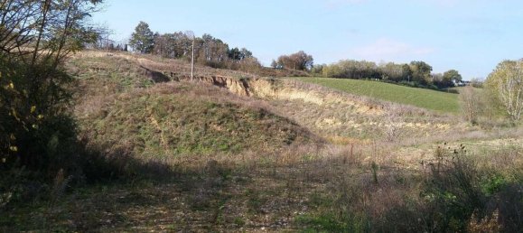 30770m² Land in Terranuova Bracciolini, Italy No. 45273 7