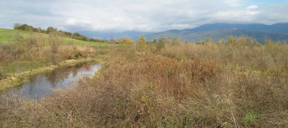 30770m² Land in Terranuova Bracciolini, Italy No. 45273 6