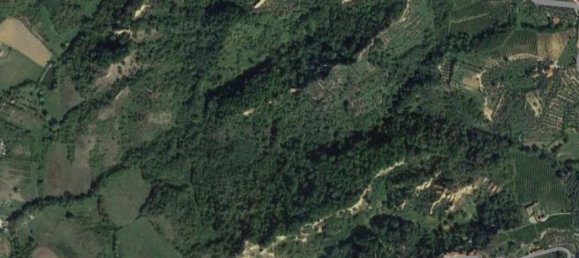 30770m² Land in Terranuova Bracciolini, Italy No. 45273 10