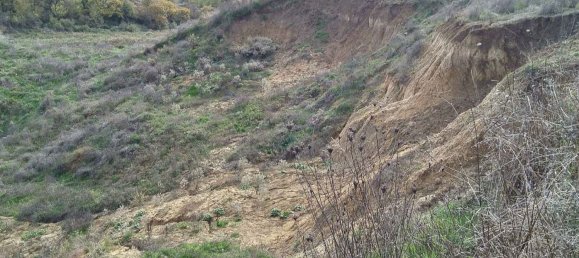 30770m² Land in Terranuova Bracciolini, Italy No. 45273 4