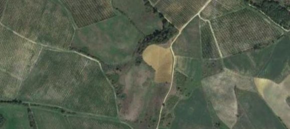 30770m² Land in Terranuova Bracciolini, Italy No. 45273 11