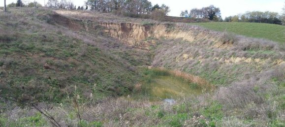 30770m² Land in Terranuova Bracciolini, Italy No. 45273 8