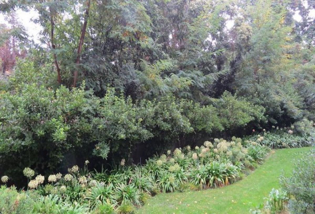 3 bedrooms Apartment in Santiago, Chile No. 4057