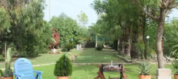 1 bedroom House in Valencia, Spain No. 134233 31