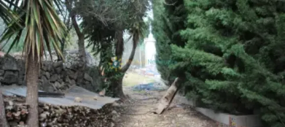 1 bedroom House in Valencia, Spain No. 134233 28