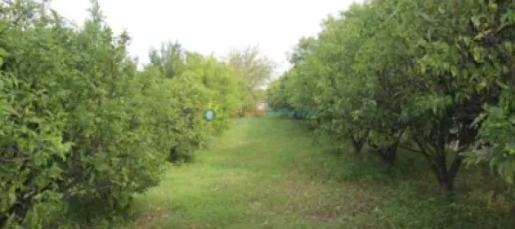 1 bedroom House in Valencia, Spain No. 134233 37