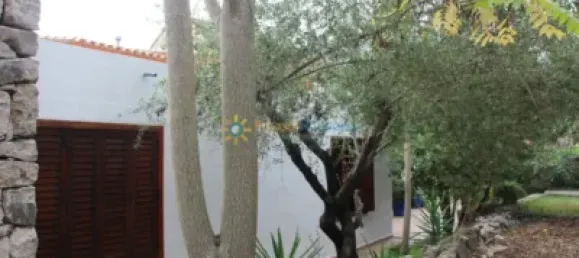 1 bedroom House in Valencia, Spain No. 134233 2