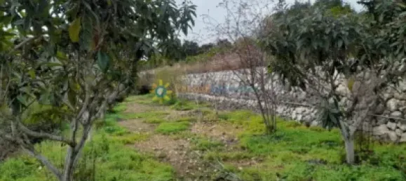 1 bedroom House in Valencia, Spain No. 134233 38