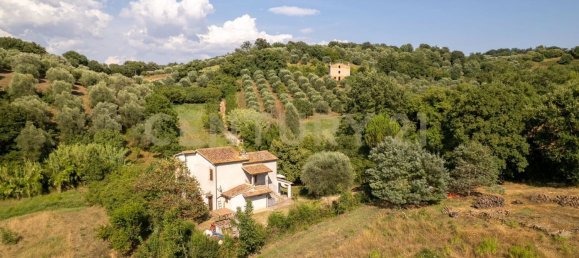 6 bedrooms House in Manciano, Italy No. 316847 5