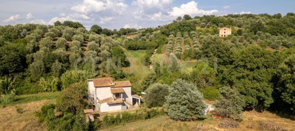 6 bedrooms House in Manciano, Italy No. 316847 38